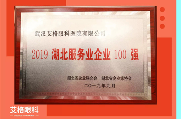 艾格眼科连续两年荣膺“武汉服务业企业100强”！
